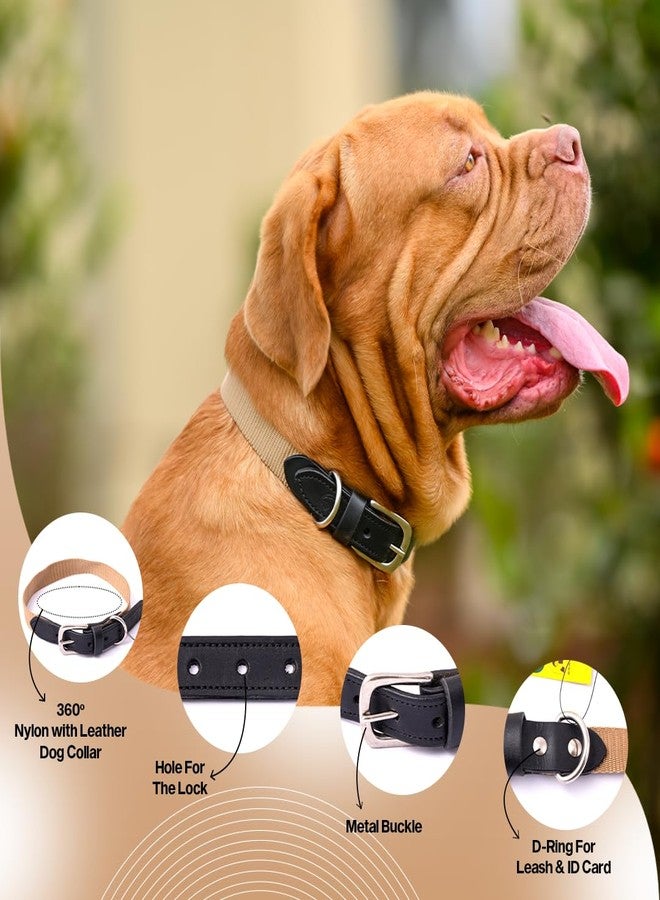 ADIL'S Adil’S Dog Collar for All Sized Dog Adjustable Nylon with Leather Dog Collars 25mm, Metal-Buckle with D-Ring, Colour: Beige :Size,S - Image 5